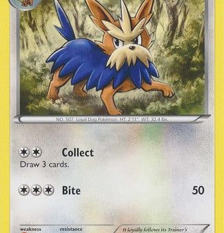 Herdier (19 30) [Black & White: Trainer Kit - Excadrill] Sale