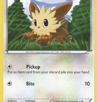 Lillipup (27 30) [Black & White: Trainer Kit - Excadrill] Online Sale