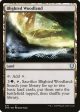 Blighted Woodland [Commander Legends] Discount